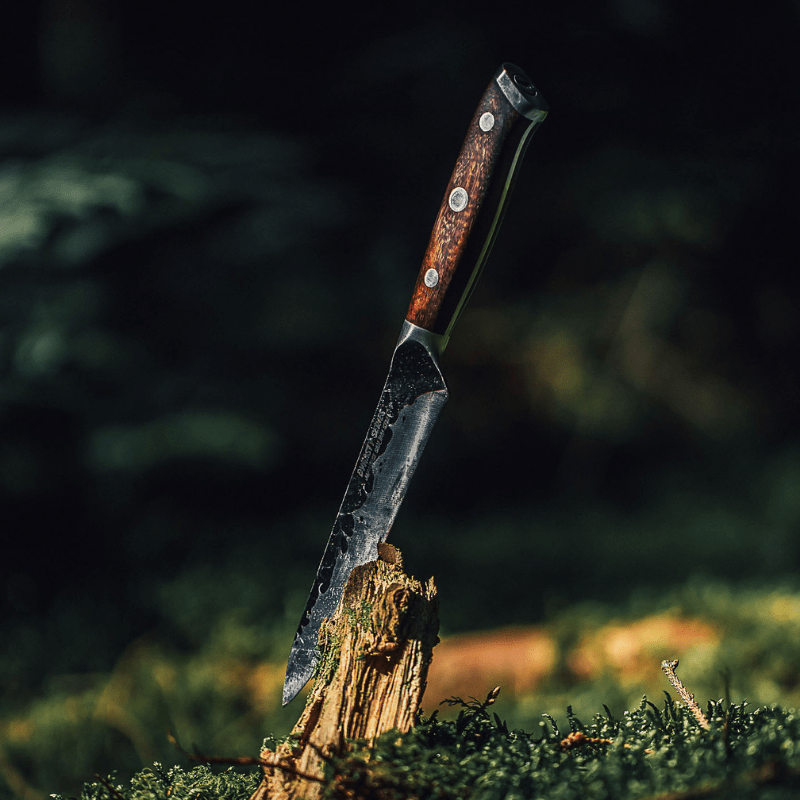 Dynasty Series Paring Knife