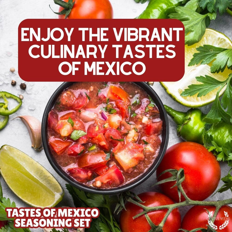 Mexican Seasoning Gift Set - Tastes of Mexico - Artisanal Spice Blends Six Pack
