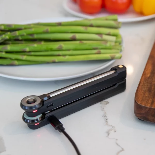 FireBoard Pulse Wireless Thermometer